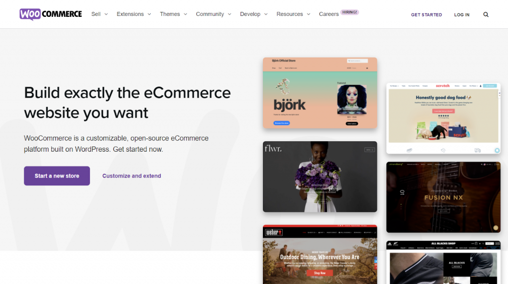 Woocommerce store 